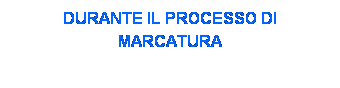 Casella di testo: VISTA LATERALE DEL SISTEMA DURANTE IL PROCESSO DI MARCATURA
